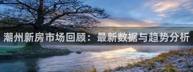 新宝5平台：潮州新房市场回顾：最新数据与趋势分析