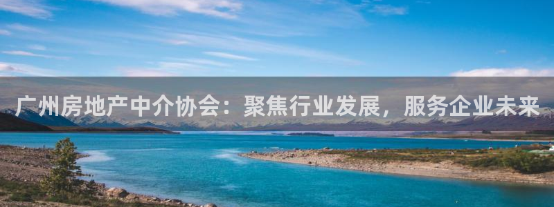 新宝5下载：广州房地产中介协会：聚焦行业发展，服务企业未来