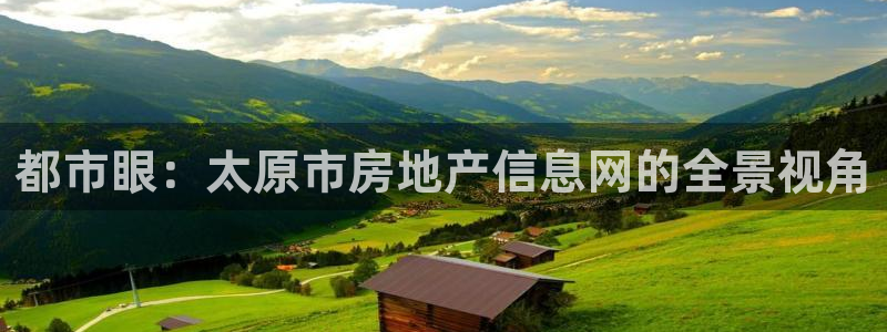 新宝股东瞧听2 5 5：都市眼：太原市房地产信息网的全景视角