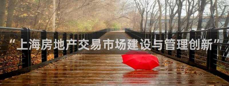 新宝5测速线路：“上海房地产交易市场建设与管理创新”