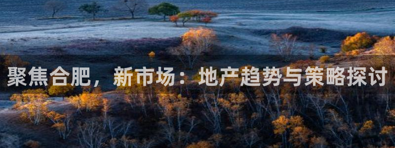 新宝5娱乐经：聚焦合肥，新市场：地产趋势与策略探讨