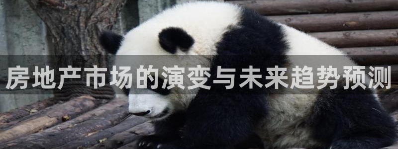 新宝5入口：房地产市场的演变与未来趋势预测