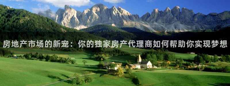 新宝5招商：房地产市场的新宠：你的独家房产代理商如何帮助你实