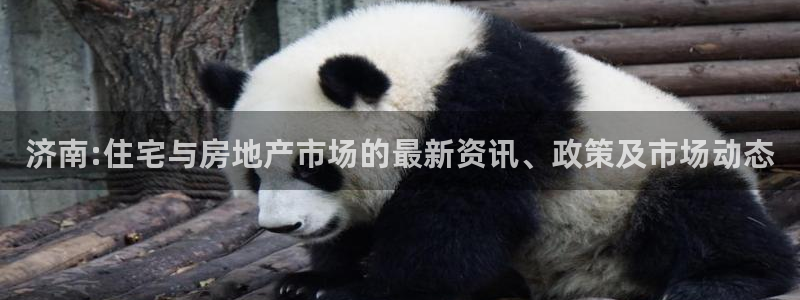 新宝5注册账号：济南:住宅与房地产市场的最新资讯、政策及市场