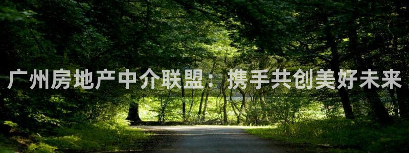 新宝5注册流程：广州房地产中介联盟：携手共创美好未来