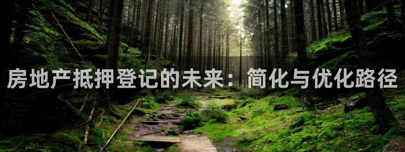 新宝5：房地产抵押登记的未来：简化与优化路径