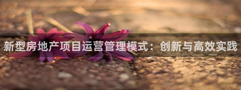 新宝5登录测速中心：新型房地产项目运营管理模式：创新与高效实