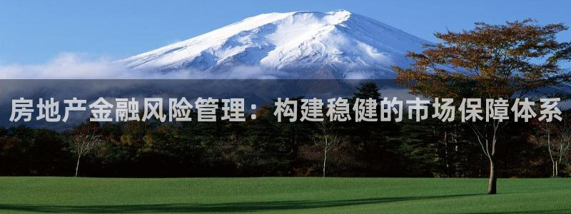 新宝5官方网站：房地产金融风险管理：构建稳健的市场保障体系