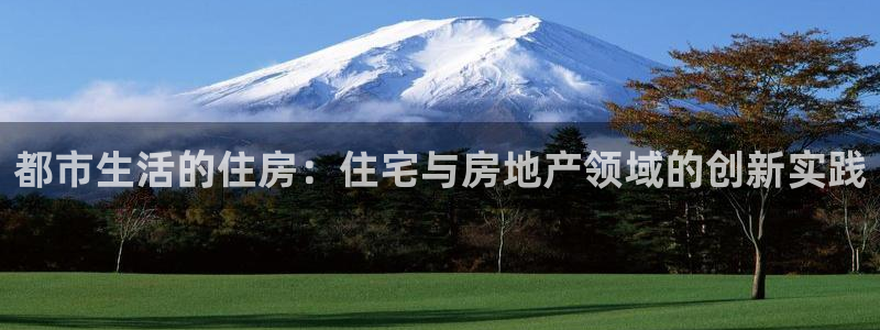 新宝5平台登录下载软件：都市生活的住房：住宅与房地产领域的创