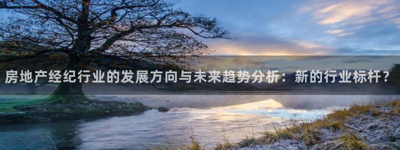 新宝5上来77542：房地产经纪行业的发展方向与未来趋势分析