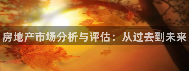 新宝5登录不了：房地产市场分析与评估：从过去到未来