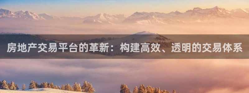 新宝测速5：房地产交易平台的革新：构建高效、透明的交易体系