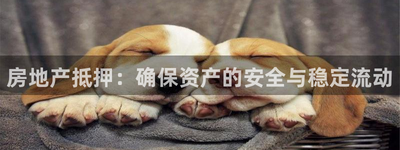 新宝5娱乐如：房地产抵押：确保资产的安全与稳定流动