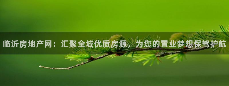 新宝5新宝6顺达：临沂房地产网：汇聚全城优质房源，为您的置业