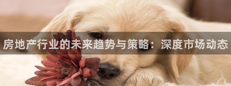 新宝5官网app：房地产行业的未来趋势与策略：深度市场动态