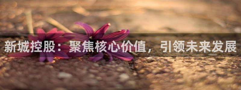 新宝5官网霸：新城控股：聚焦核心价值，引领未来发展