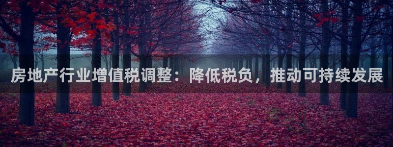 新宝5娱乐多：房地产行业增值税调整：降低税负，推动可持续发展
