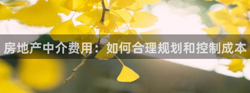 新宝5登录霸：房地产中介费用：如何合理规划和控制成本