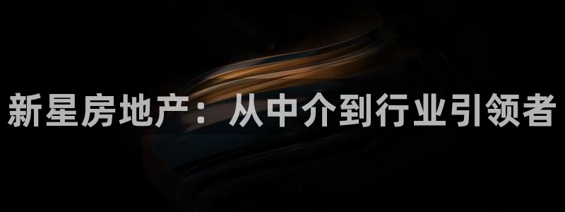 新宝5黑：新星房地产：从中介到行业引领者