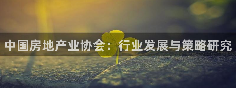 新宝5黑彩：中国房地产业协会：行业发展与策略研究