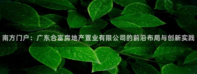 新宝5登录测速中心：南方门户：广东合富房地产置业有限公司的前