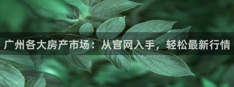 新宝5登录注册：广州各大房产市场：从官网入手，轻松最新行情