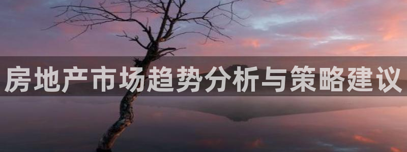 新宝5授权：房地产市场趋势分析与策略建议