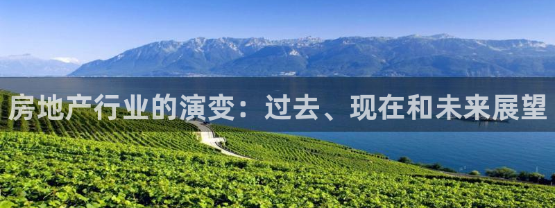 新宝5是谁的：房地产行业的演变：过去、现在和未来展望