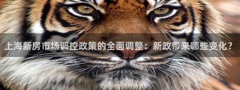 新宝5-：上海新房市场调控政策的全面调整：新政带来哪些变化？