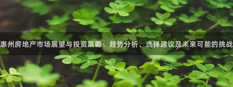 新宝5招商部：惠州房地产市场展望与投资策略：趋势分析、选择建