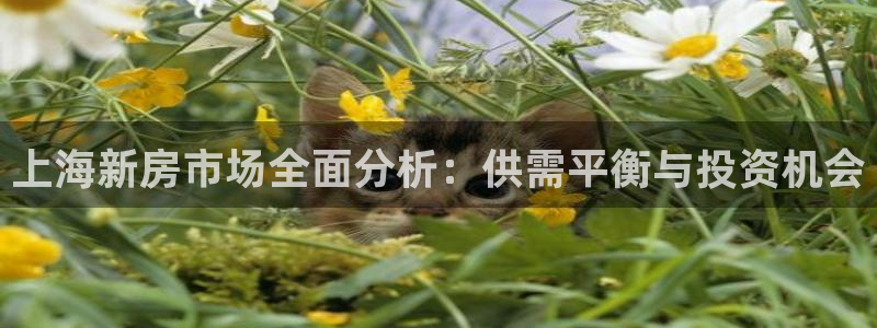 新宝5娱乐登陆