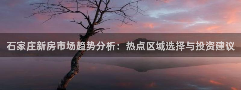 新宝5官网平台：石家庄新房市场趋势分析：热点区域选择与投资建