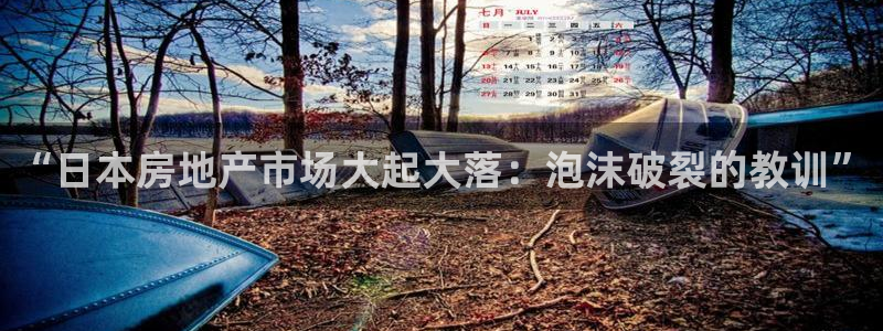 新宝5手机下载：“日本房地产市场大起大落：泡沫破裂的教训”