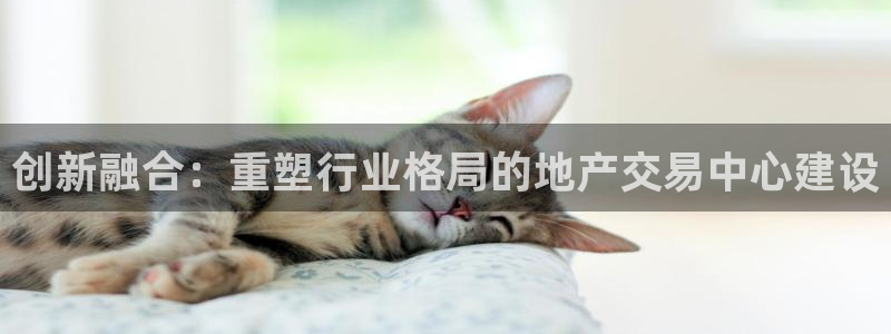 新宝5尤74OOO5：创新融合：重塑行业格局的地产交易中心建