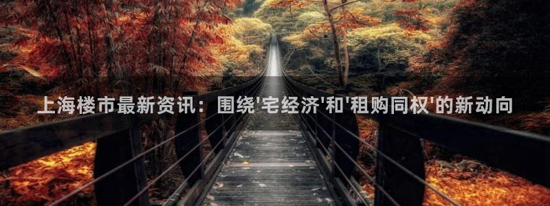 新宝5彩票平台登陆：上海楼市最新资讯：围绕\'宅经济\'和\