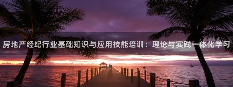 新宝5入口：房地产经纪行业基础知识与应用技能培训：理论与实践