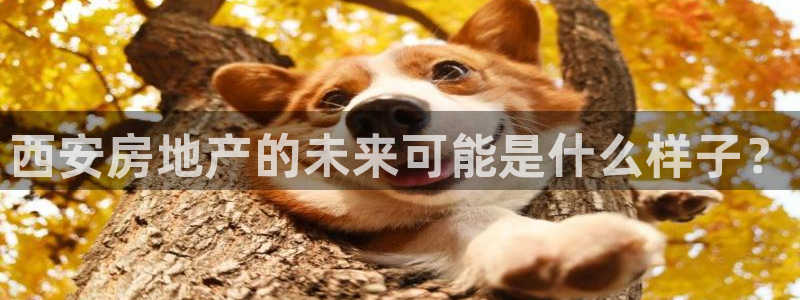 新宝5黑：西安房地产的未来可能是什么样子？
