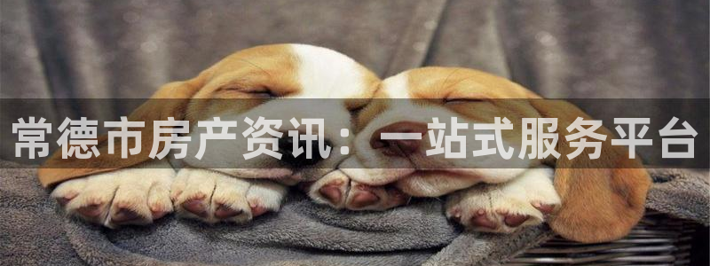 新宝5黑：常德市房产资讯：一站式服务平台
