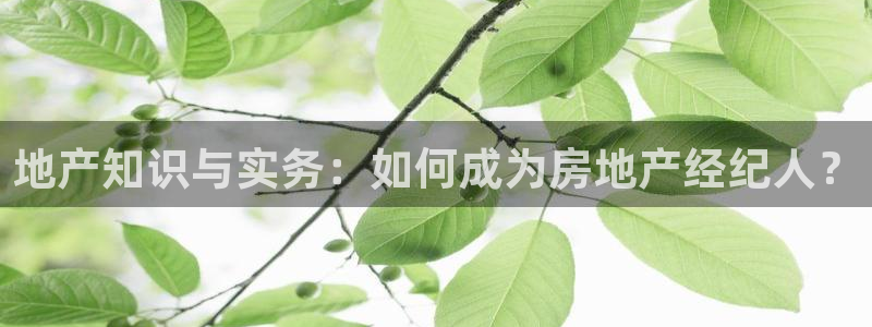 新宝5王问74OOO5：地产知识与实务：如何成为房地产经纪人