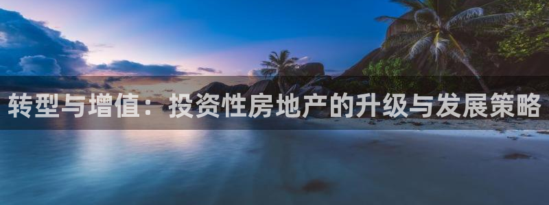 新宝5平台注册资金：转型与增值：投资性房地产的升级与发展策略
