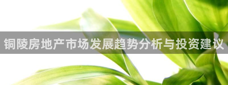 新宝5蒋7O667：铜陵房地产市场发展趋势分析与投资建议