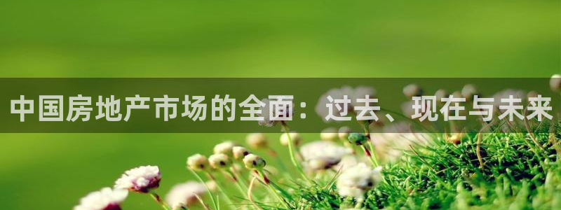 新宝5登录测速中心：中国房地产市场的全面：过去、现在与未来