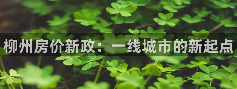 新宝5尤74OOO5：柳州房价新政：一线城市的新起点