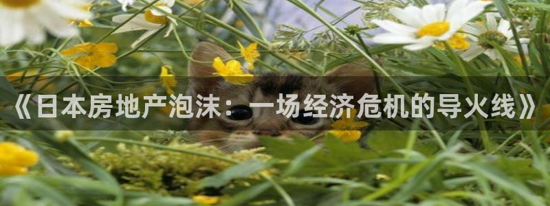 新宝股东瞧听2 5 5：《日本房地产泡沫：一场经济危机的导火