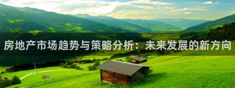 新宝5源码：房地产市场趋势与策略分析：未来发展的新方向