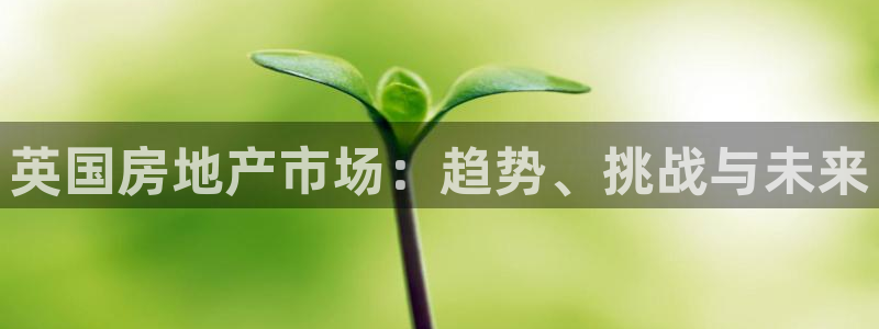 新宝5注册流程：英国房地产市场：趋势、挑战与未来