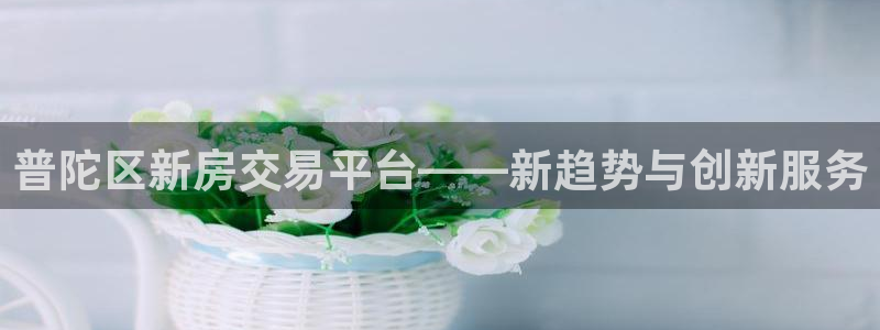 新宝5娱乐注册：普陀区新房交易平台——新趋势与创新服务