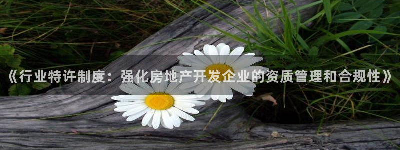新宝5彩票平台登陆：《行业特许制度：强化房地产开发企业的资质