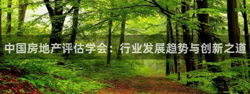 新宝股东瞧听2 5 5：中国房地产评估学会：行业发展趋势与创