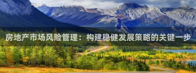 新宝5官网67五壹叁八：房地产市场风险管理：构建稳健发展策略